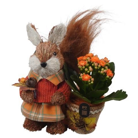 <h4>PTHI3326 Arrangement Autumn Indoor in stro pot in eekhoorn vorm</h4>