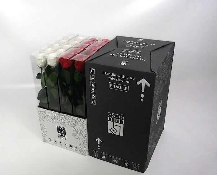 <h4>Rosa Preserved Stem 50cm Mix Red White</h4>