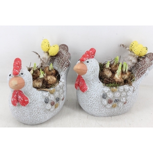 arr4 Narcis MB - Keramiek kip L