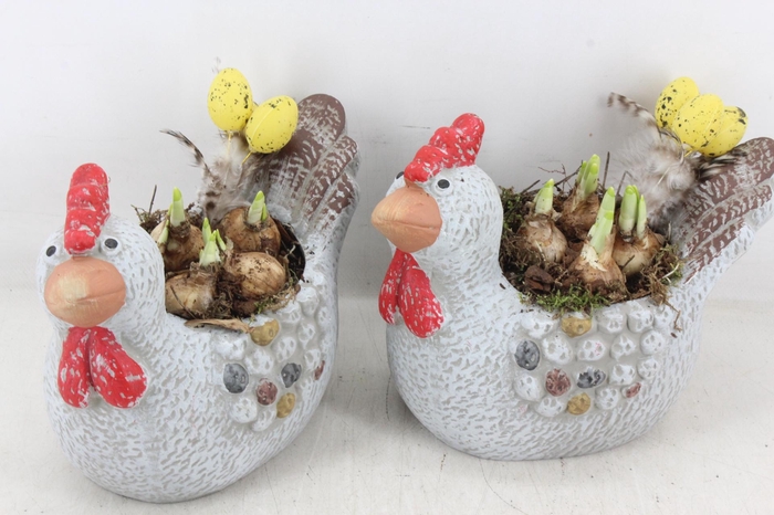 <h4>arr4 Narcis MB - Keramiek kip L</h4>