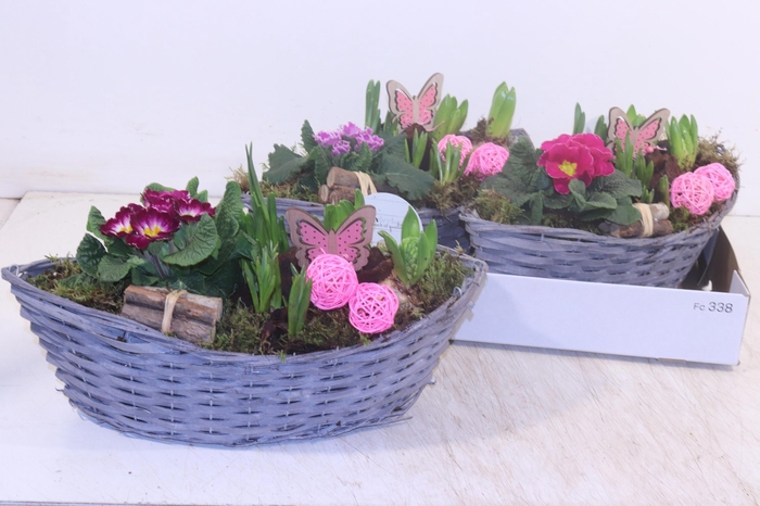 <h4>ARR TUINPLANTEN</h4>