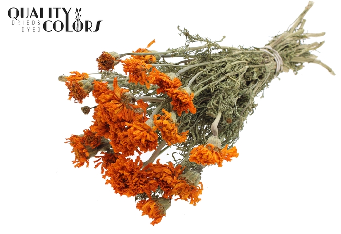 <h4>Tagetes per bunch Natural Orange</h4>