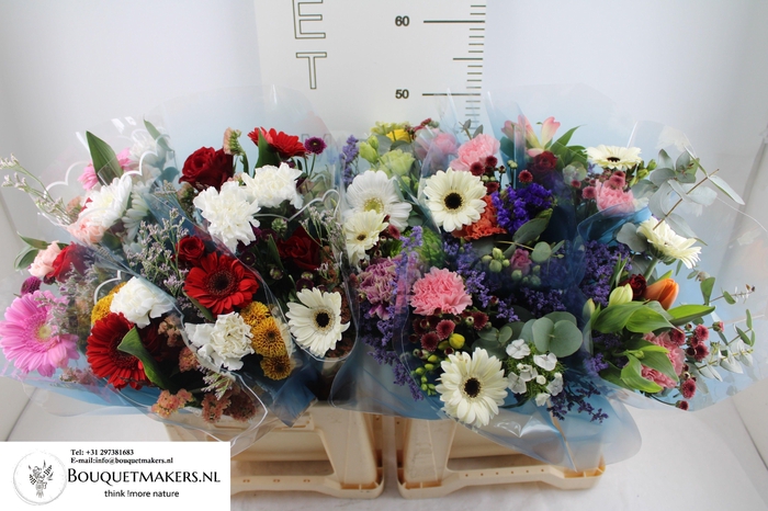 <h4>GEM BOEKET OV</h4>