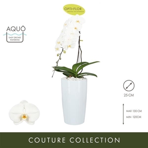 Formidablo N°15 Aqua Care