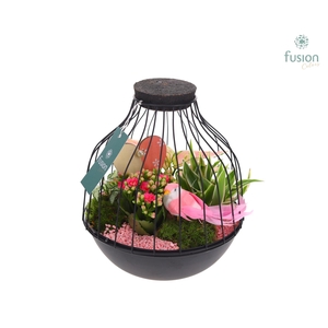 Vogelkooi metaal zwart Large LED Love met arrangement