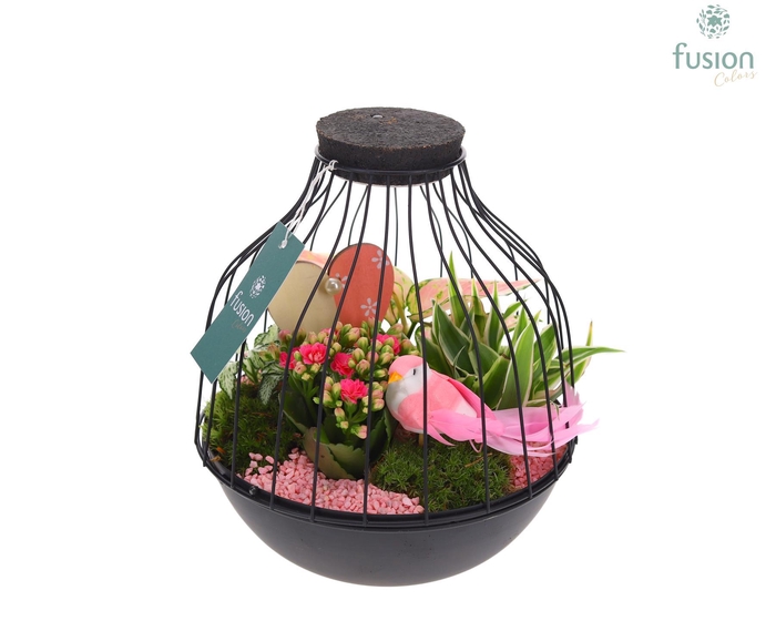 <h4>Vogelkooi metaal zwart Large LED Love met arrangement</h4>