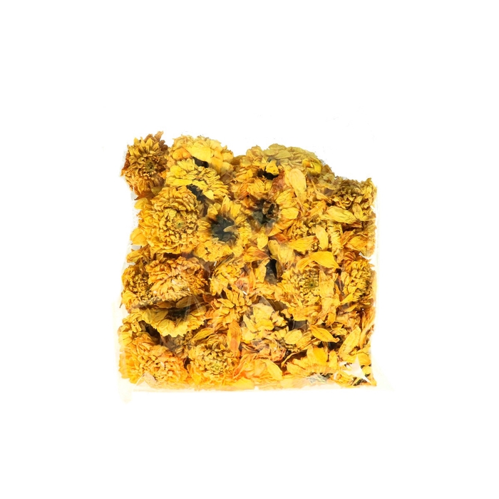 <h4>Opruiming Dahlia koppen x50</h4>