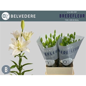 Li La Belvedere