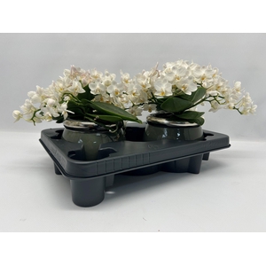 Nazare met keramiek pot