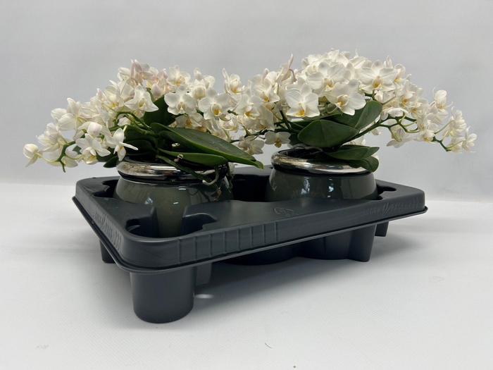 <h4>Nazare met keramiek pot</h4>