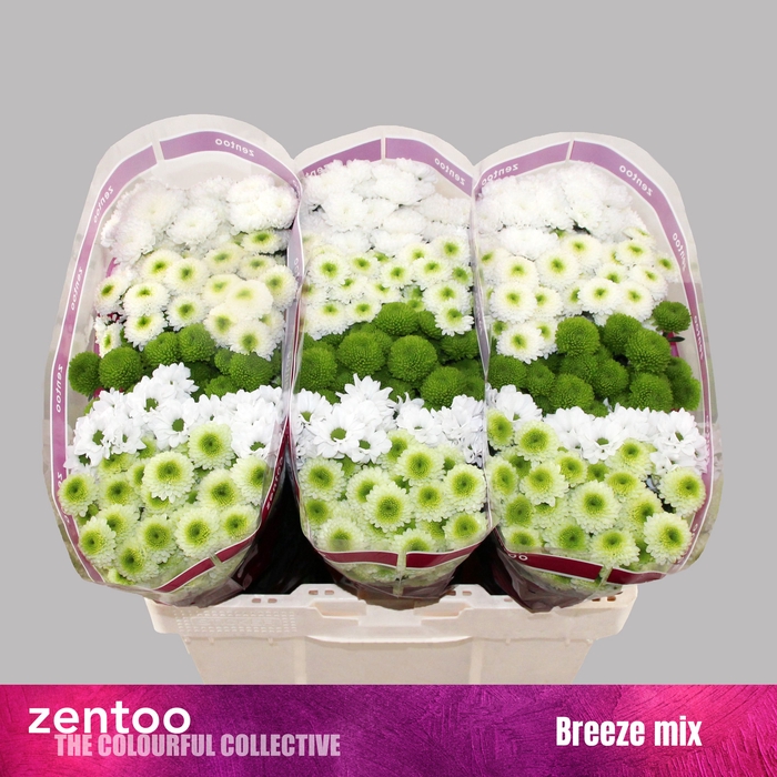 <h4>CHR S MIX BREEZE</h4>