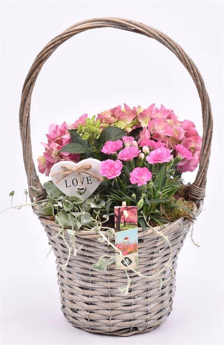 <h4>Wilg hengselmand 24 cm</h4>