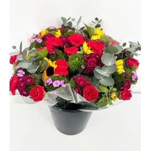 Bouquet Mix Sorrento (x 25 stems)(min 10x4)