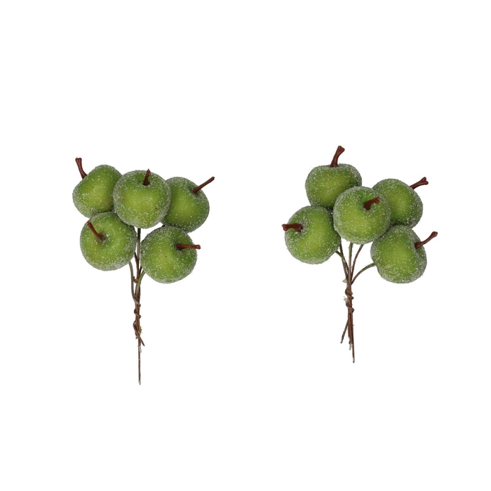 <h4>Herfst Appel frosted/draad d3cm x20</h4>
