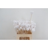 Stick Heart Flock 5cm White