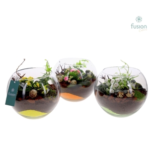 Glas Alverda Vissenkom met Pasen Arrangement