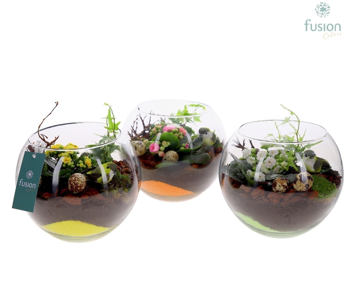 <h4>Glas Alverda Vissenkom met Pasen Arrangement</h4>