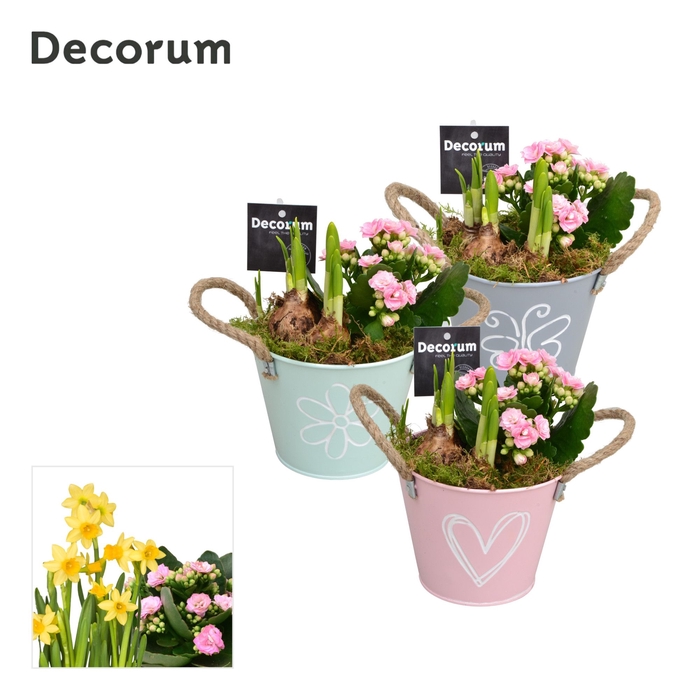 Calandiva & Narcis Bucket Maxi GM HL20647