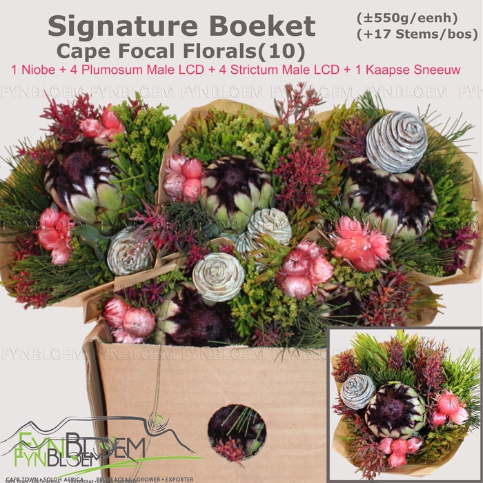 <h4>PROTEA PER BOS</h4>