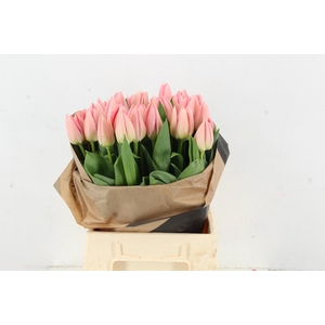 TU EN SALMON DESSERT