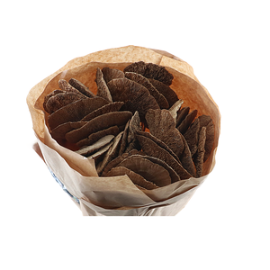 Zwam Natural On Stick