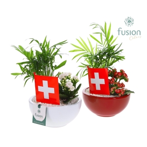 Schaal keramiek Moon Small Zwitserland wit en rood met arrangement