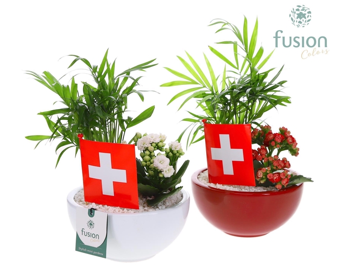 <h4>Schaal keramiek Moon Small Zwitserland wit en rood met arrangement</h4>