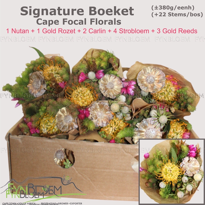 <h4>PROTEA PER BOS</h4>