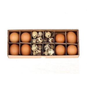 Easter Egg chicken/quail x8/24