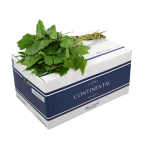 SALAL TIPS BLUE LABEL