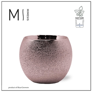 Karma - SOLO POTS - Bubbly rosé 12 cm |