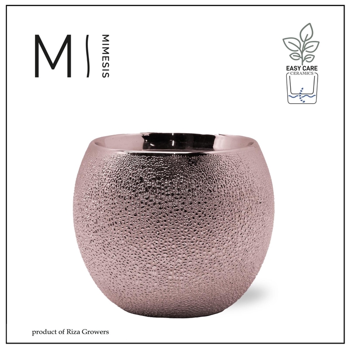 <h4>Karma - SOLO POTS - Bubbly rosé 12 cm |</h4>