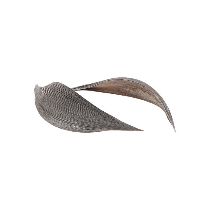 <h4>Coco Medium 10pcs L27</h4>