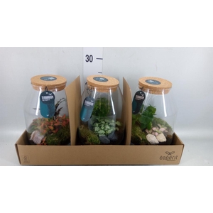 Arr.    Planten  H%
