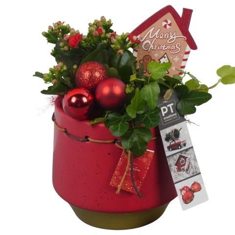 <h4>Opm Pt PTCHR7201 X-mas Red Keramiek Pot</h4>