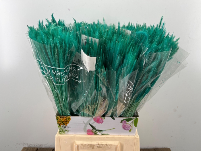 <h4>DROOGBL BEWERKT H%</h4>