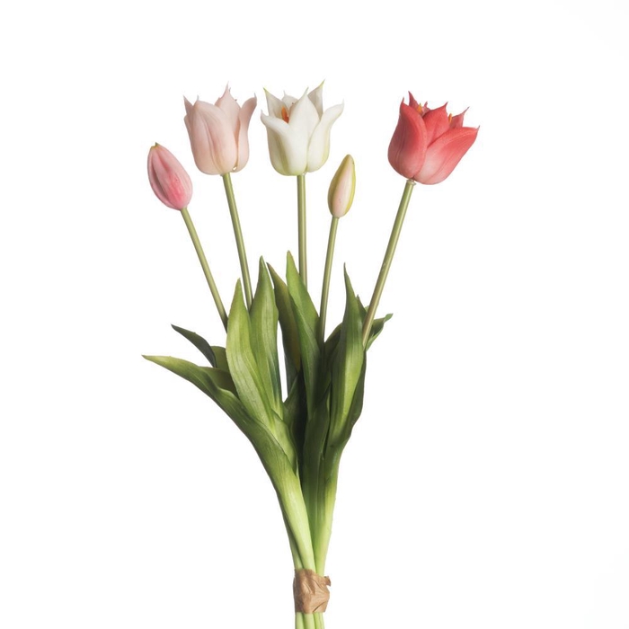 <h4>AF Tulip Bundle x5 L45cm Mix P</h4>