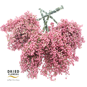 Dried Pepper Berries Natural