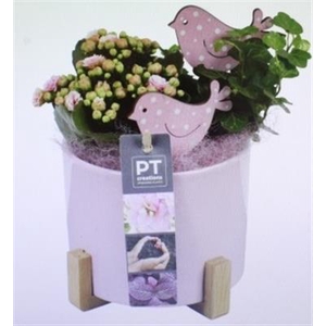 6332 KER ROZE OP HOUT POOTJE