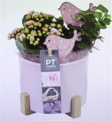 <h4>6332 KER ROZE OP HOUT POOTJE</h4>
