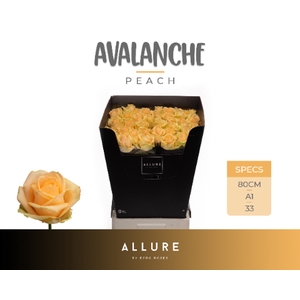 R GR AVALANCHE PEACH+ ALLURE