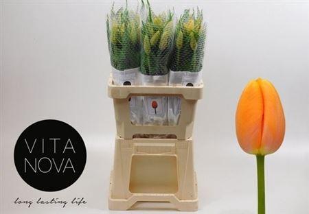 <h4>Tu En Dordogne</h4>