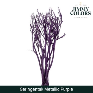 Seringen Tak L65 Metallic Paars