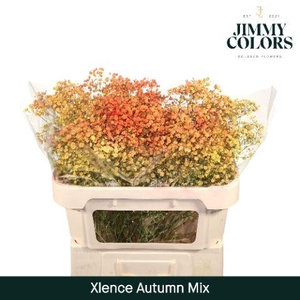 Gyps Xlence l70 Autumn mix