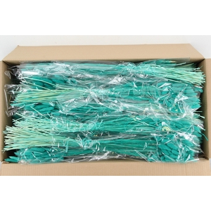DF Lagurus Bs 50g/70cm Aqua