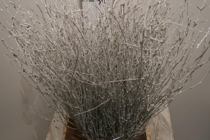 <h4>Berk 60cm Wit</h4>