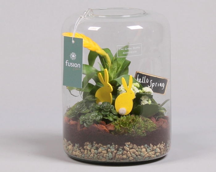 <h4>Green BottleIsabella large met Pasen</h4>