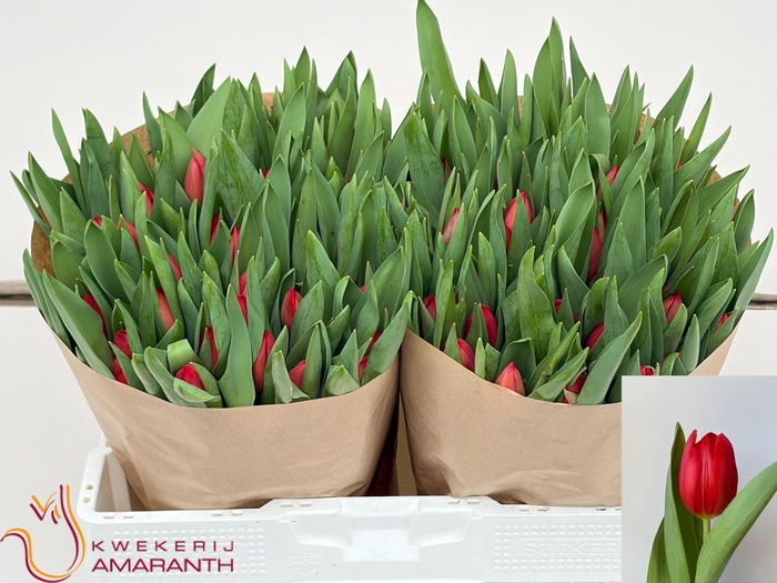 <h4>TU EN HOTSPOT</h4>