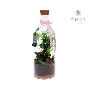 Green Bottle Fles Medium Love met Arrangement