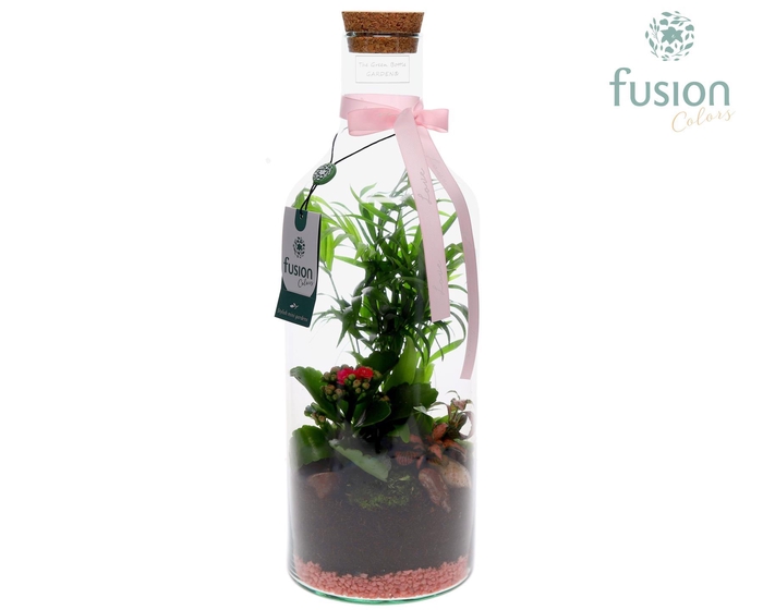 <h4>Green Bottle Fles Medium Love met Arrangement</h4>